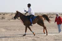 0902UAE_123