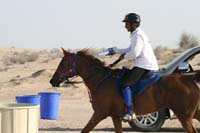0902UAE_124