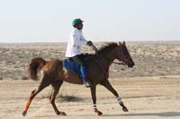 0902UAE_125