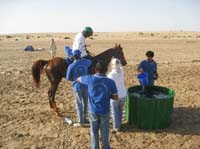 0902UAE_125A