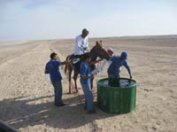 international/UAE/2009MerriTravels/gallery/MHMCup/thumbnails/0902UAE_125B.jpg