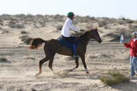 0902UAE_126