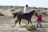 0902UAE_127