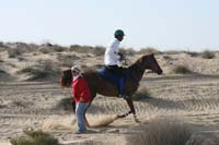 0902UAE_129
