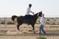 0902UAE_130