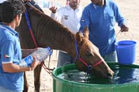 0902UAE_131