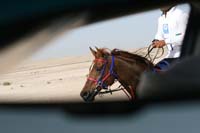 0902UAE_133