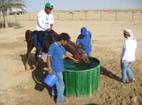 0902UAE_133A