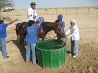 0902UAE_133B