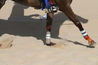 0902UAE_134
