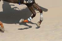 0902UAE_135