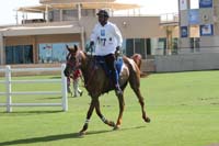 0902UAE_137