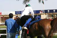 0902UAE_138