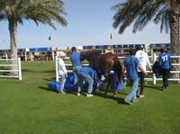 0902UAE_138A