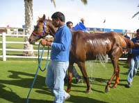 0902UAE_138B