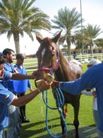 0902UAE_138C