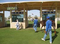 international/UAE/2009MerriTravels/gallery/MHMCup/thumbnails/0902UAE_138D.jpg