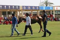 0902UAE_139