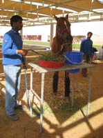 0902UAE_139C