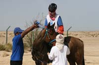 0902UAE_141