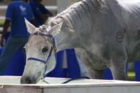 0902UAE_143