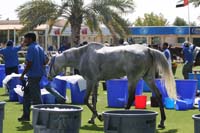 0902UAE_144