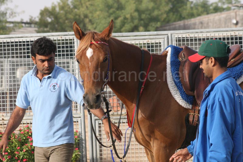 0902UAE_034