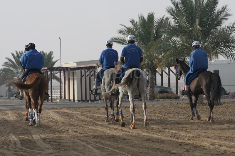 0902UAE_039