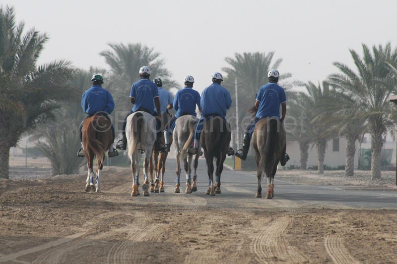 0902UAE_041