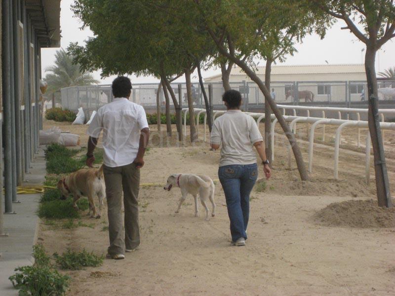 0902UAE_042A