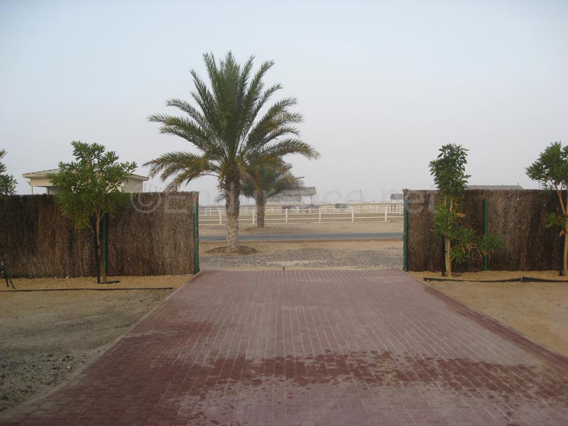 0902UAE_044