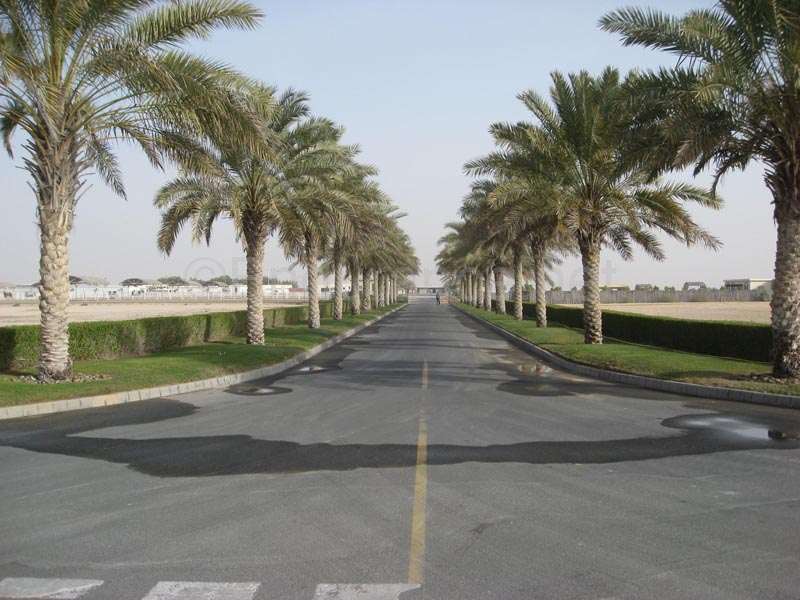 0902UAE_045