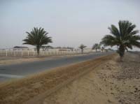 0902UAE_003