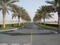 0902UAE_045