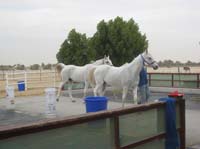 0902UAE_051