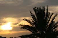 0902UAE_052