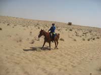 international/UAE/2009MerriTravels/gallery/Ride1/thumbnails/0902UAE_191.jpg