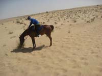 international/UAE/2009MerriTravels/gallery/Ride1/thumbnails/0902UAE_195.jpg