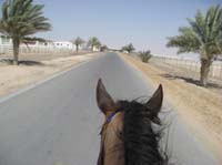 international/UAE/2009MerriTravels/gallery/Ride1/thumbnails/0902UAE_197.jpg