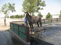 0902UAE_200