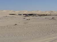 Golden valley 051