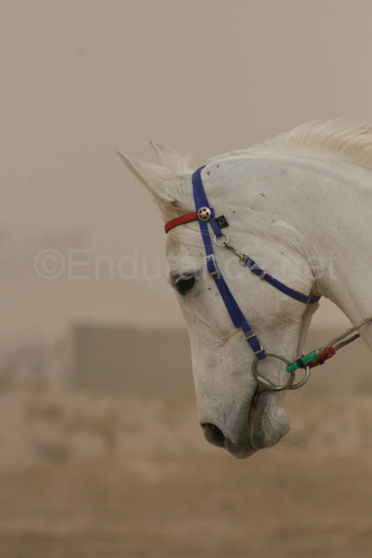 0902PCup_021