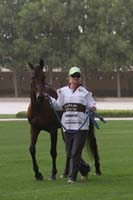 0902PCup_102