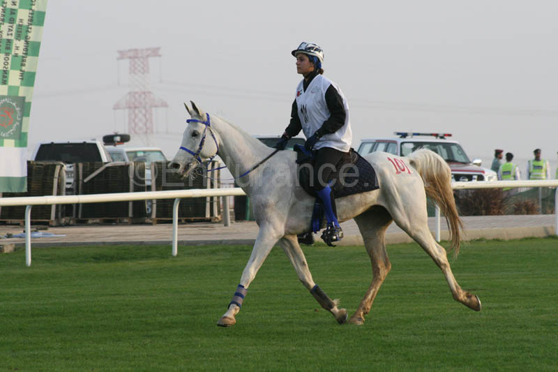 0902PCup_217