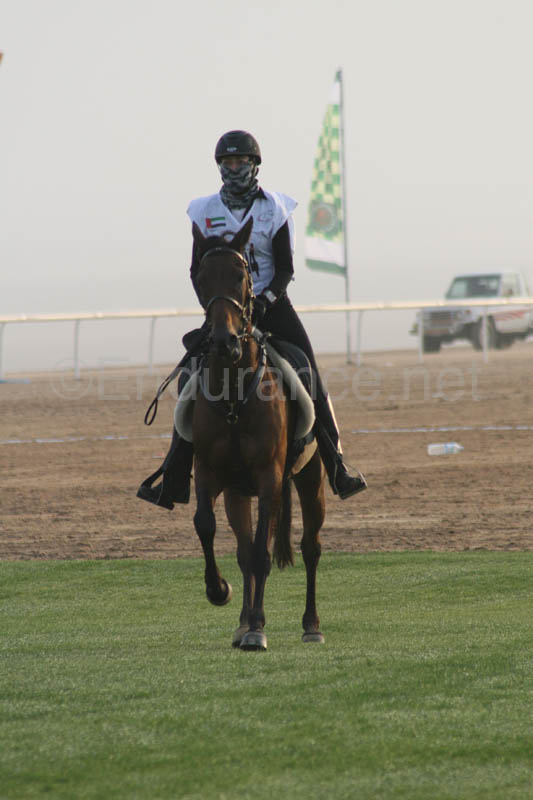 0902PCup_218