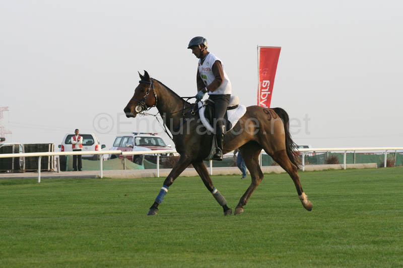 0902PCup_225