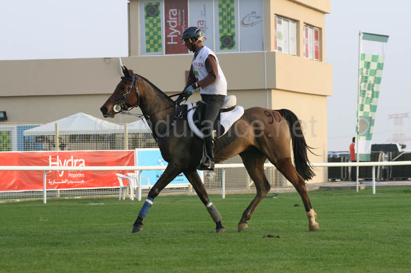 0902PCup_226