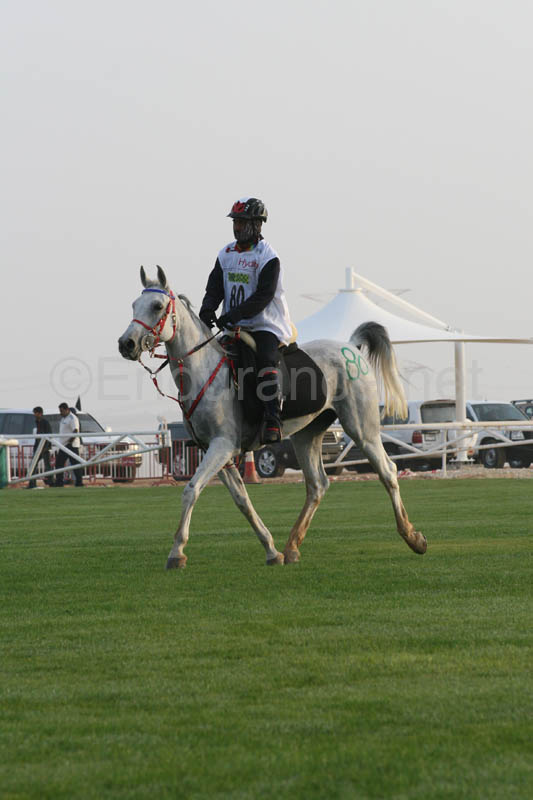 0902PCup_227