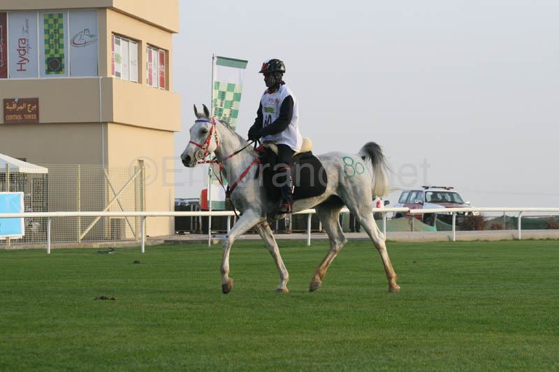 0902PCup_228