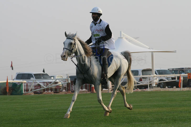 0902PCup_229